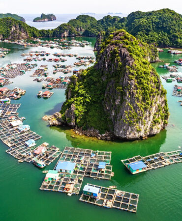 Tour Cát Bà – Vịnh Lan Hạ 3N2Đ